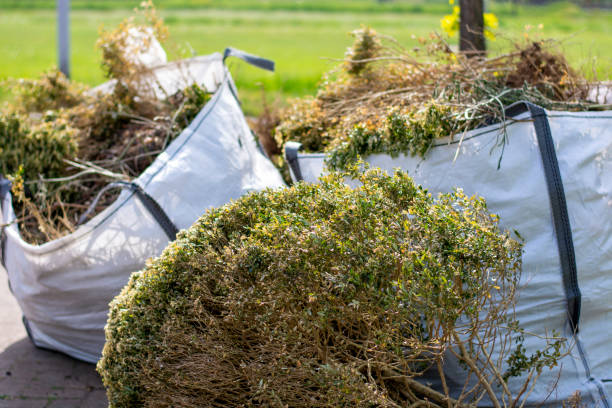 Best Yard Waste Removal  in Thompson Falls, MT